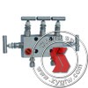 Five-manifold valve