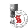 electric rotary adjusting valve